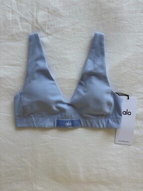 Alo Yoga Blue Sports Bra